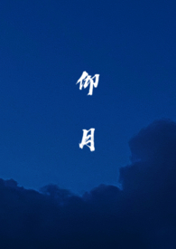 仰月(1V1 H)